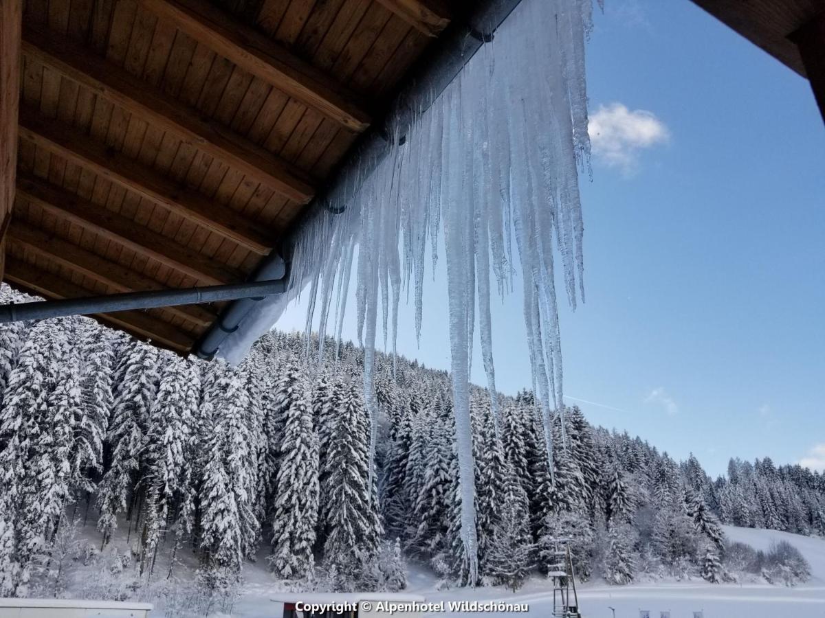 Alpenhotel Wildschoenau B&B المظهر الخارجي الصورة