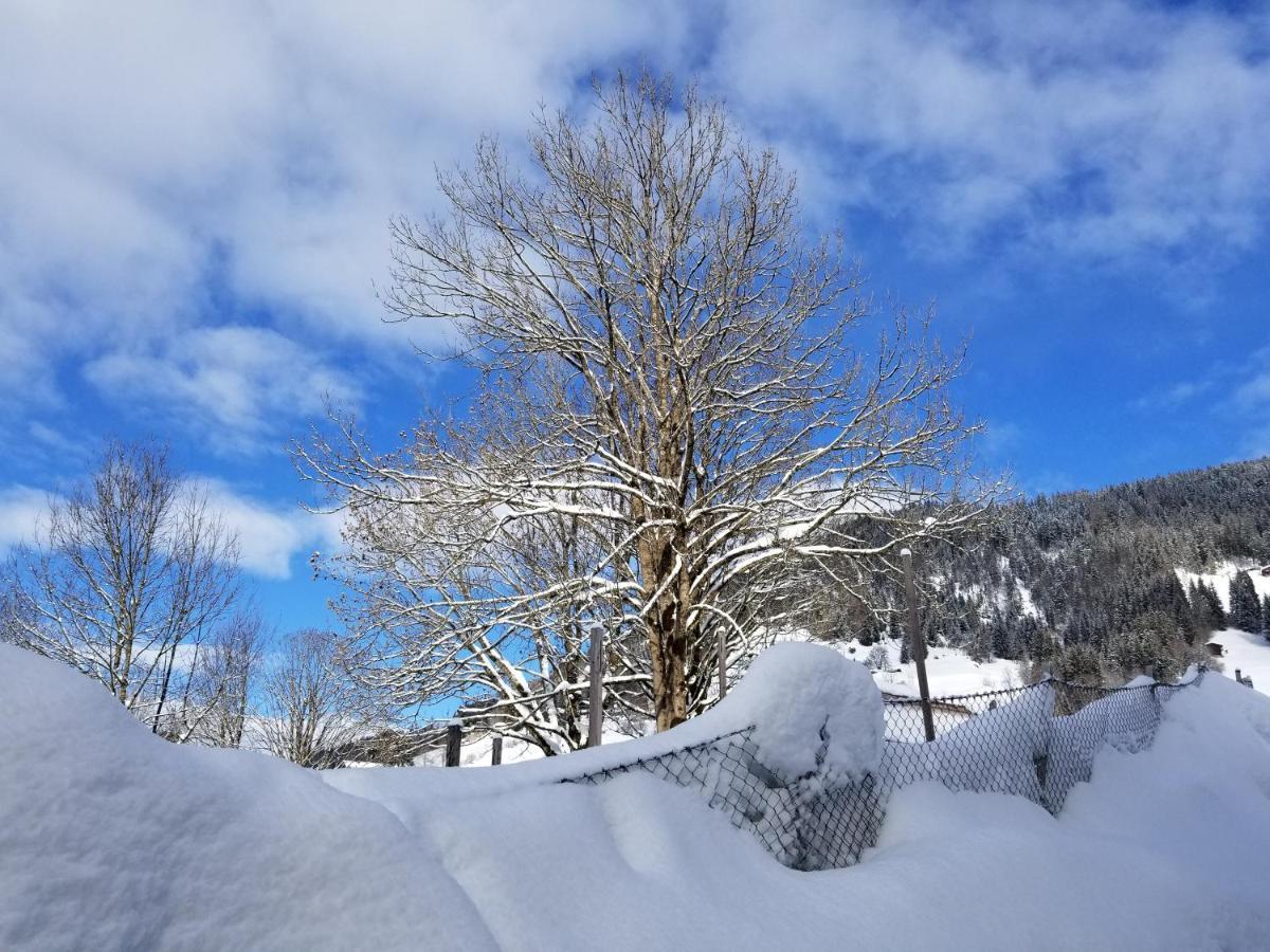 Alpenhotel Wildschoenau B&B المظهر الخارجي الصورة
